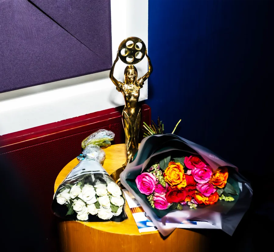 The IRIDA Golden Statuette