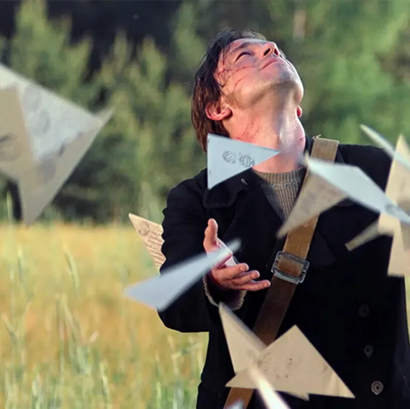Film still: a young man in a dark coat gazing upward as pale leaflets fall around him in a sunlit field