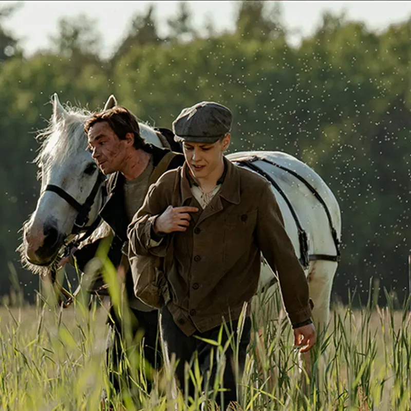 Film still: two young men leading a white horse through tall summer grass at golden hour